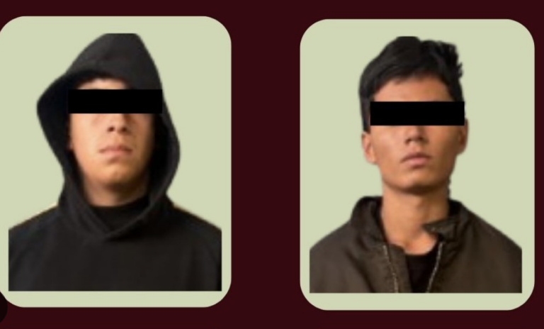 Caen dos presuntos Robacoches