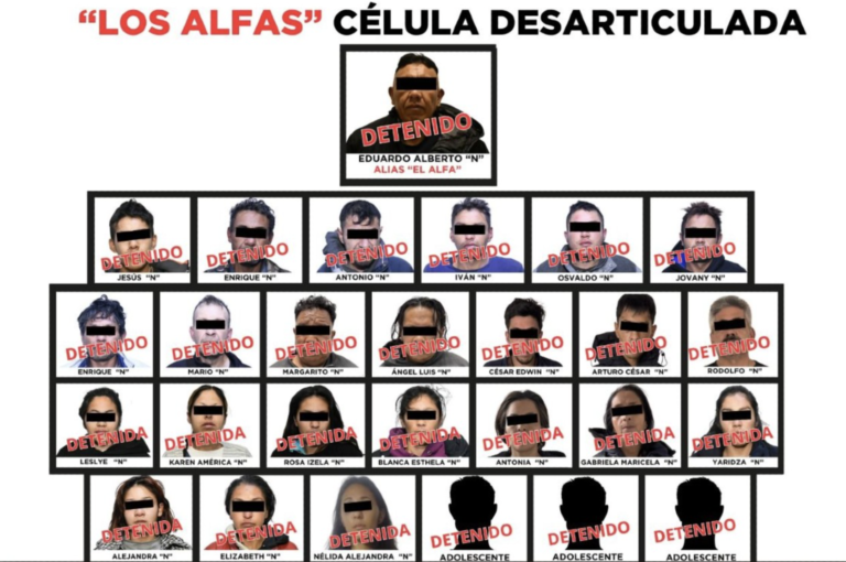 Con 27 detenciones desarticulan a «Los Alfas» en el Estado de México
