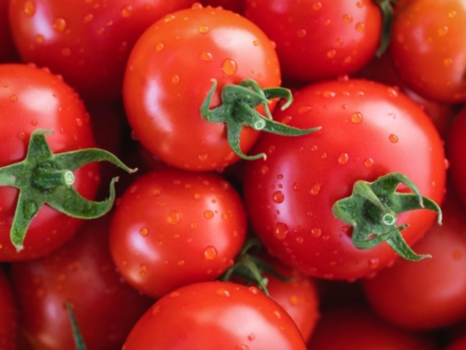 Captura de pantalla 2026-02-20 a las 6.00.37 p.m.