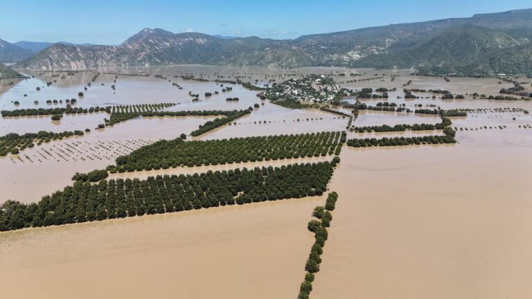 Abandonado el campo de zonas afectadas por la vaguada monzónica: afirma Congreso Agrario