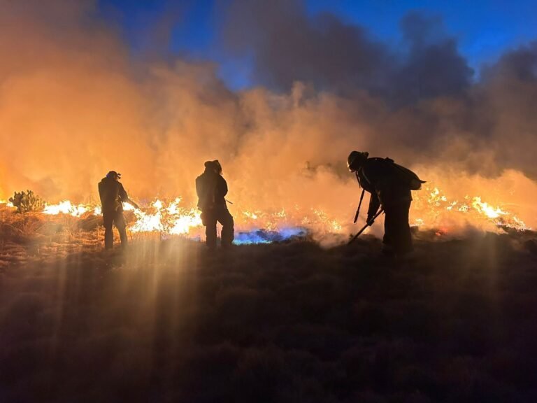 Atienden incendio en el fraccionamiento San Fernando de Mineral de la Reforma