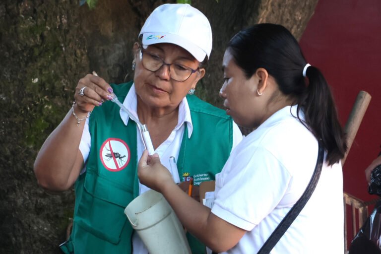 Bolivia: cinco muertes por chikunguña; hay 3 mil 938 casos 