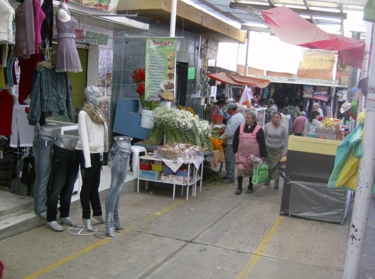 Instan a tomar precauciones ante las enfermedades gastrointestinales