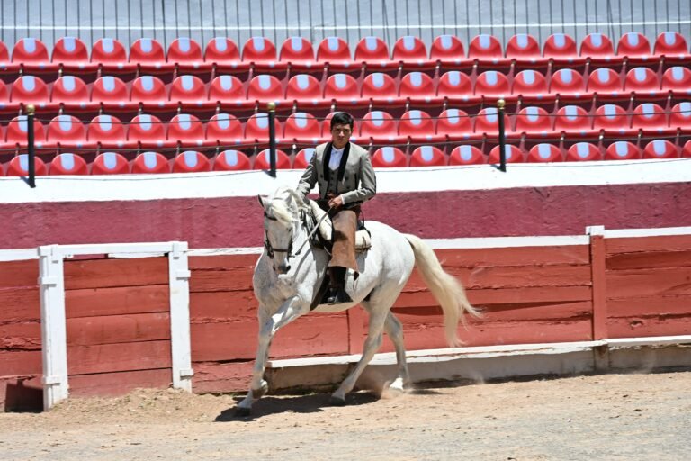 Anuncian corrida de toros a favor de damnificados por vaguada monzónica