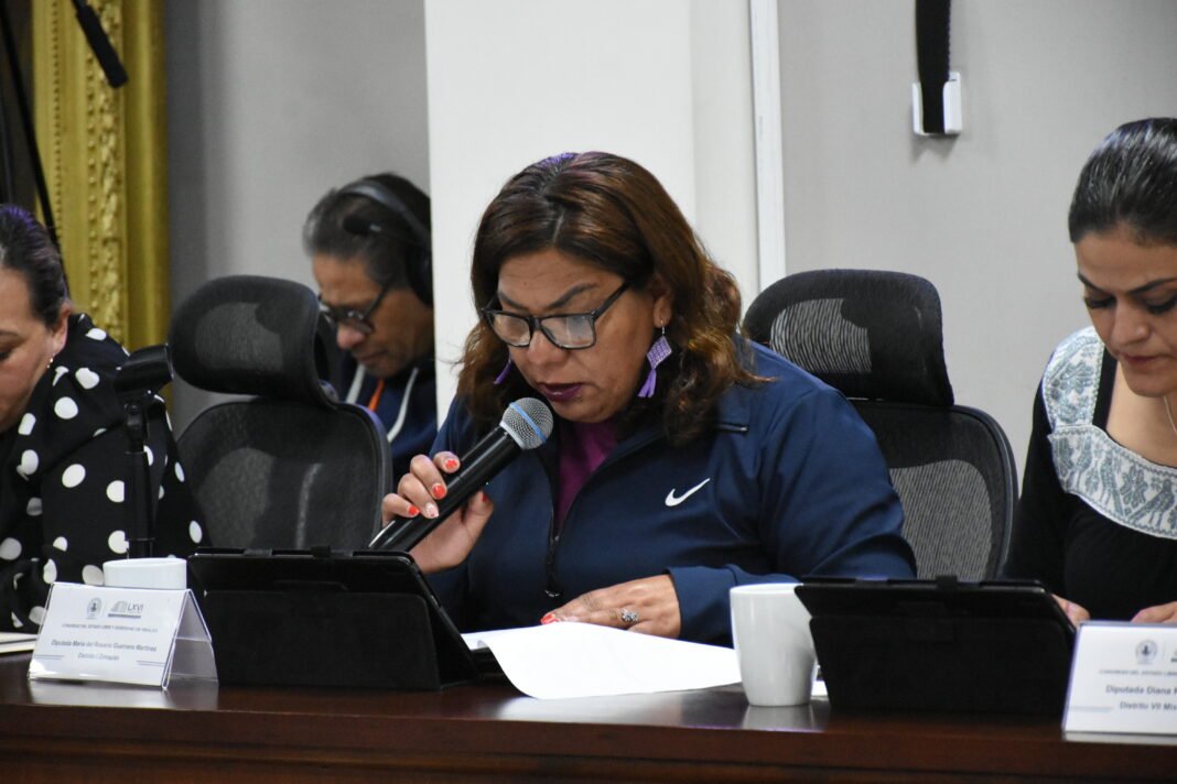 CONGRESO LOCAL Aprueban atención médica integral para adultos mayores, María del Rosario Guerrero Martínez _ Cortesía