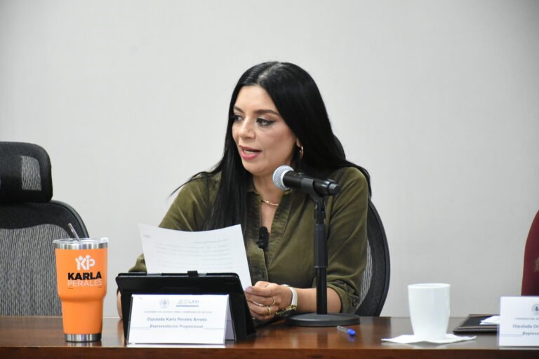 Propone MC proteger casas de deudores alimentarios 
