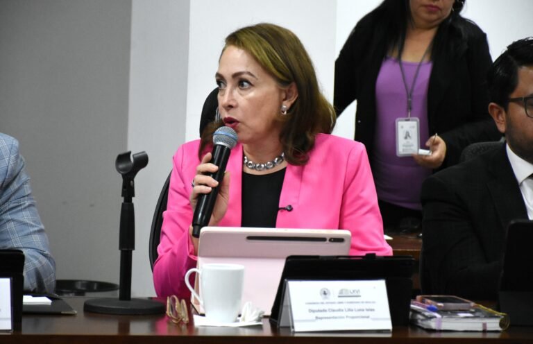 Propone el PAN reforma a la ley para que las personas se hagan responsables de las crías de sus mascotas 