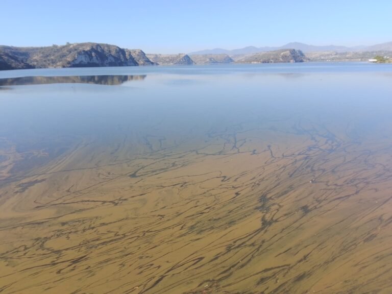 Presas hidalguenses casi al 95 por ciento de su capacidad