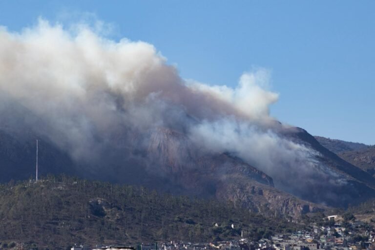 Reporta Semarnath cuatro incendios forestales activos en la entidad