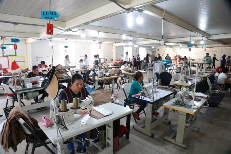 Aperturan apoyos económicos para la empleabilidad