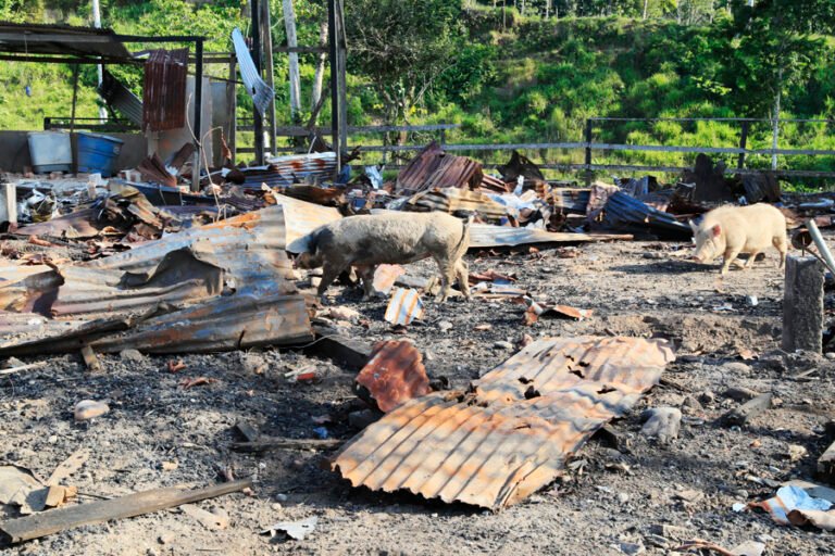 Colombia y Ecuador dan por superado el incidente de la bomba sin explotar en la frontera