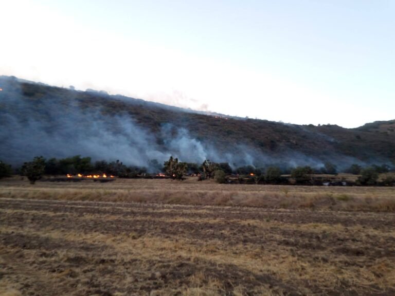 Instan a evitar la quema de pastizales en la temporada de estiaje