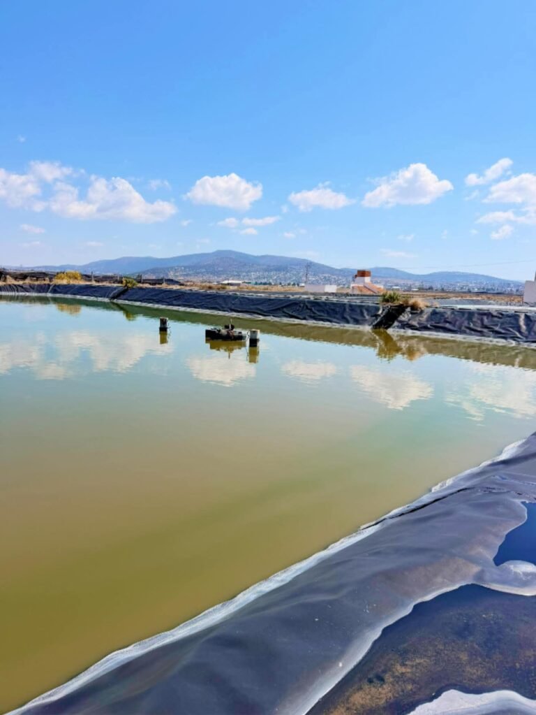 Planta tratadora de aguas residuales de Apan, en el olvido