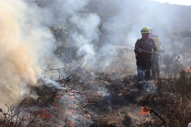 Se registra un incendio forestal en la comunidad de Comatitlán, Jacala de Ledezma.