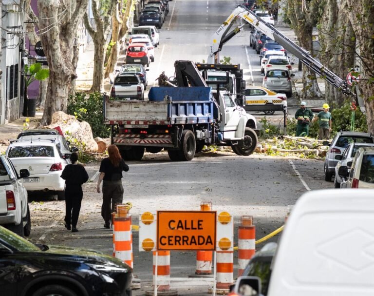 Bomberos debieron actuar en 147 oportunidades por un ciclón
