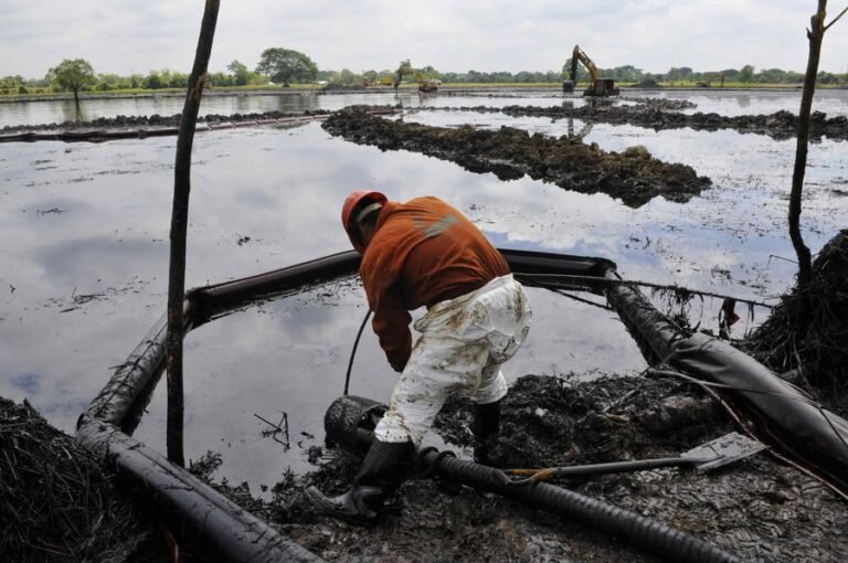 Oceana califica de «insuficiente» gestión de Pemex por derrame de hidrocarburo en México