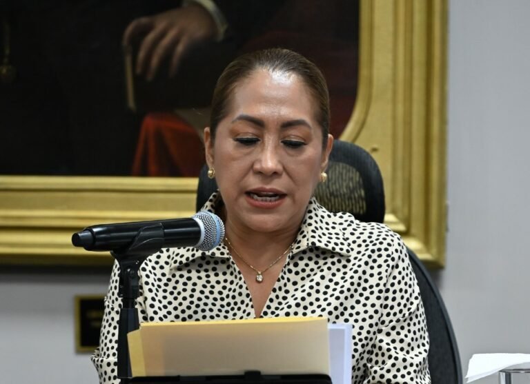 Proponen definir correctamente la palabra “cópula” en el delito de violación