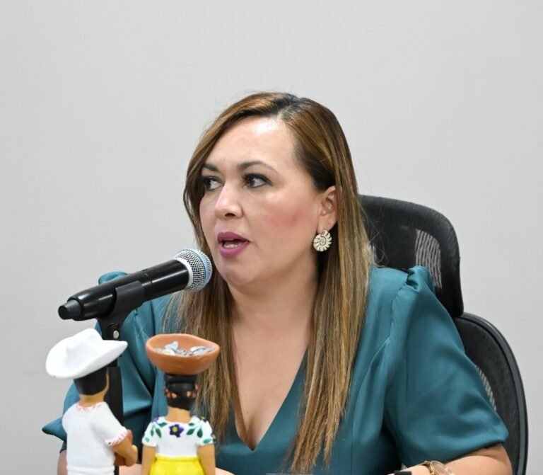 Proponen reforma a la ley para garantizar la seguridad en juegos mecánicos 