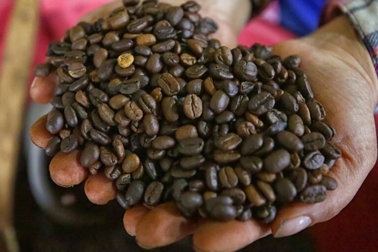 Proponen reforma para impulsar el aprovechamiento de café 