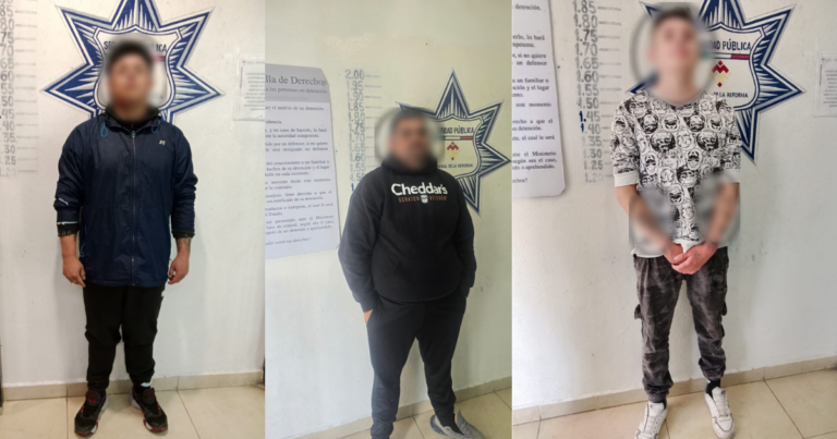 DETENCIONES EN MINERAL DE LA REFORMA POR SEGURIDAD CIUDADANA