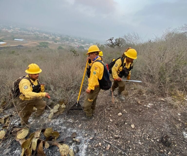 En 4 meses, un total de 88 incendios forestales