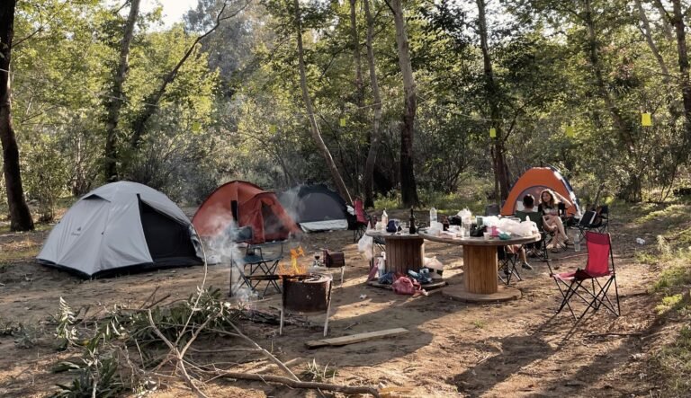 Semarnath implementa brigadas para vigilancia en campamentos