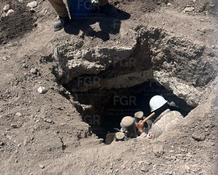 Aseguran e inhabilitan dos tomas clandestinas de hidrocarburo