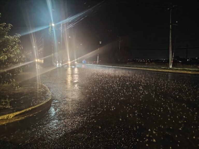 Vecinos protestan por afectaciones ante obras federales