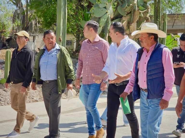 Supervisan una obra en el Llano Segunda Sección 