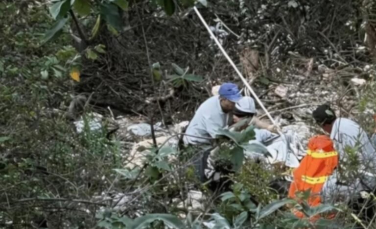 Se precipita auto a barranco de más de 300 metros y mueren madre e hijo