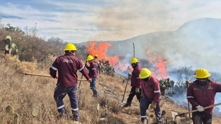 Incendios en Hidalgo: Más del 60% Originados por Actividades Humanas