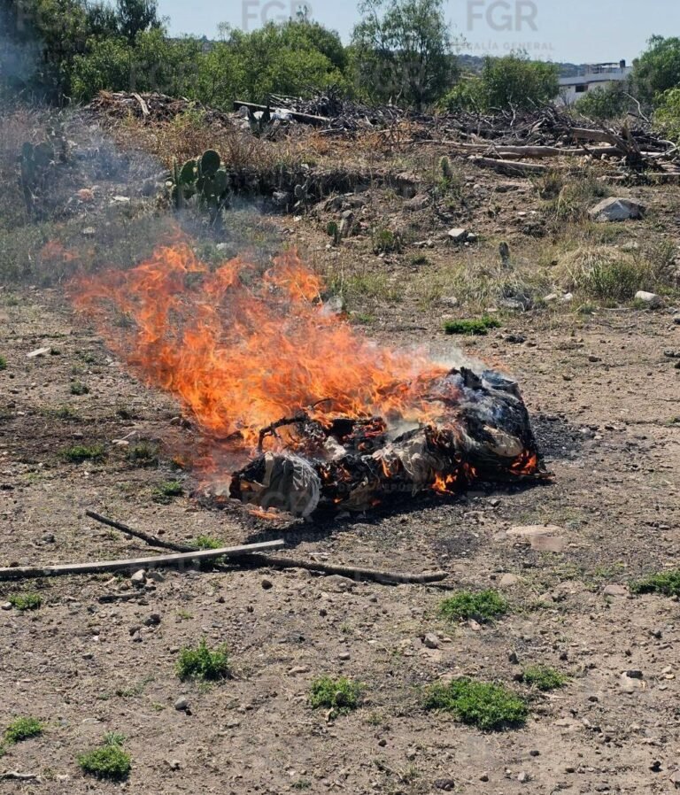 Incineran narcótico y destruyen objetos de delito