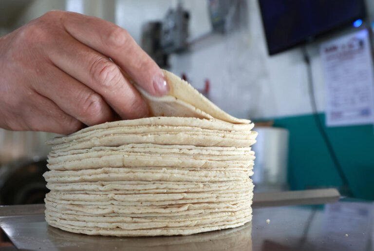 Autoridades descartan alza en precio de la tortilla 