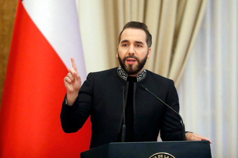 El presidente Nayib Bukele, con un patrimonio millonario