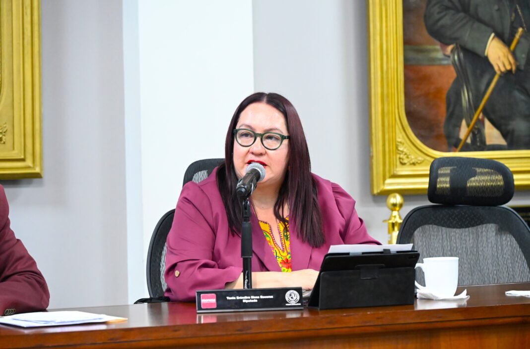 CONGRESO LOCAL Propone Tania Meza Protocolo para la Prevención de la Violencia _ Cortesía