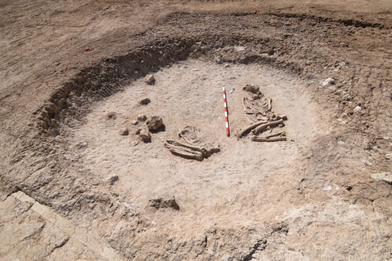 Sitúan en Toledo una necrópolis de 6.000 años, la más antigua del interior de la Península