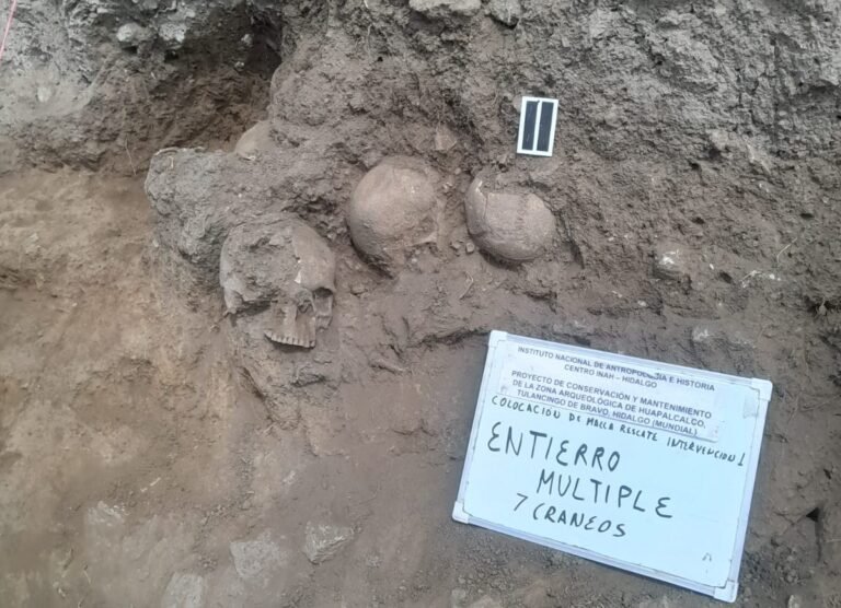 Confirma INAH hallazgo de cráneos en Huapalcalco, podría tratarse de una ofrenda