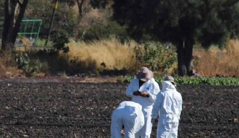Aparecieron 2 cadáveres en la región Tula