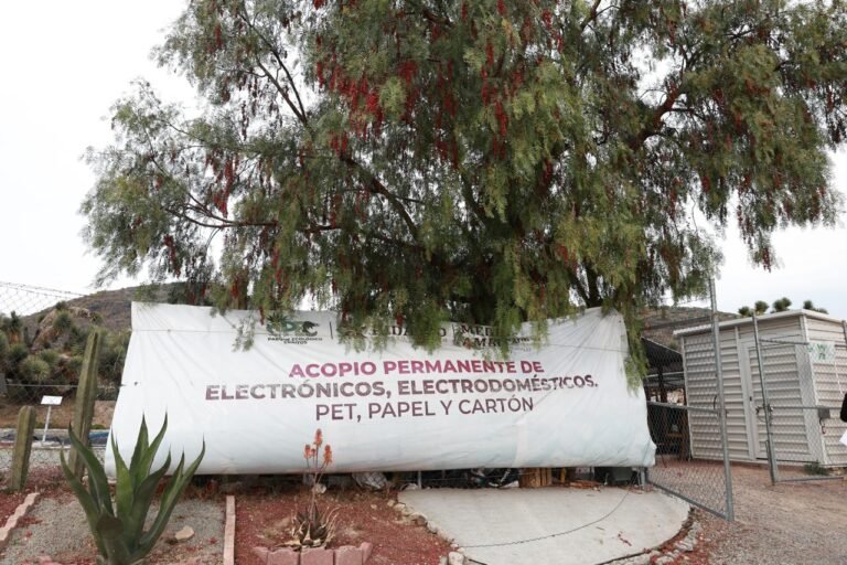 El Reciclaje, Fundamental en la Transformación de Hidalgo