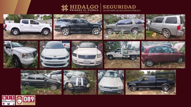 Desmantelaron un predio ilícito en la región Tula