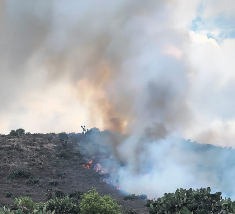 Incendio de pastizales, consume más de 10 hectáreas en Zempoala