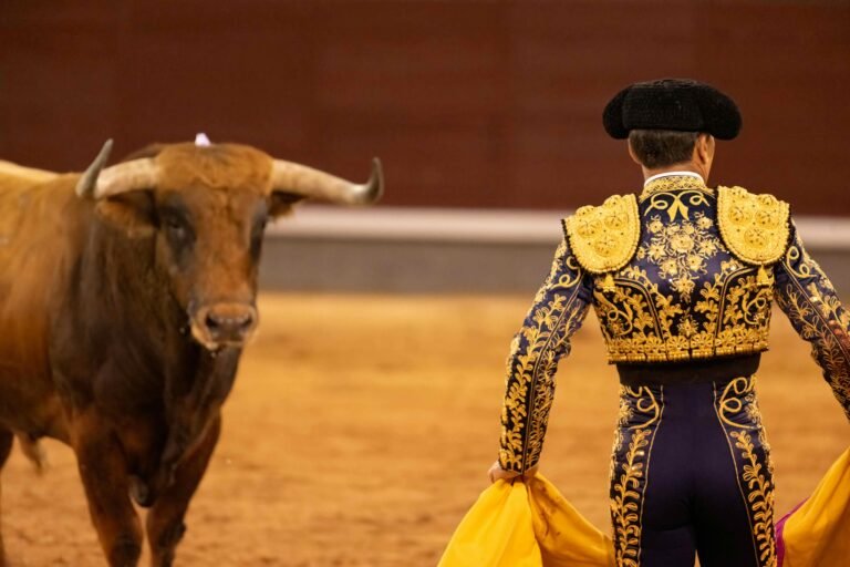 “La Tauromaquia no es cultura, es violencia”