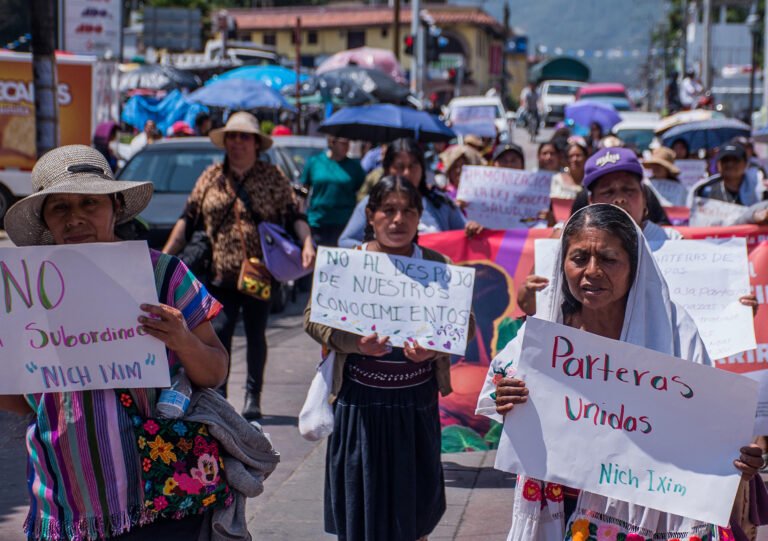 Parteras marcharon para defender su práctica ancestral