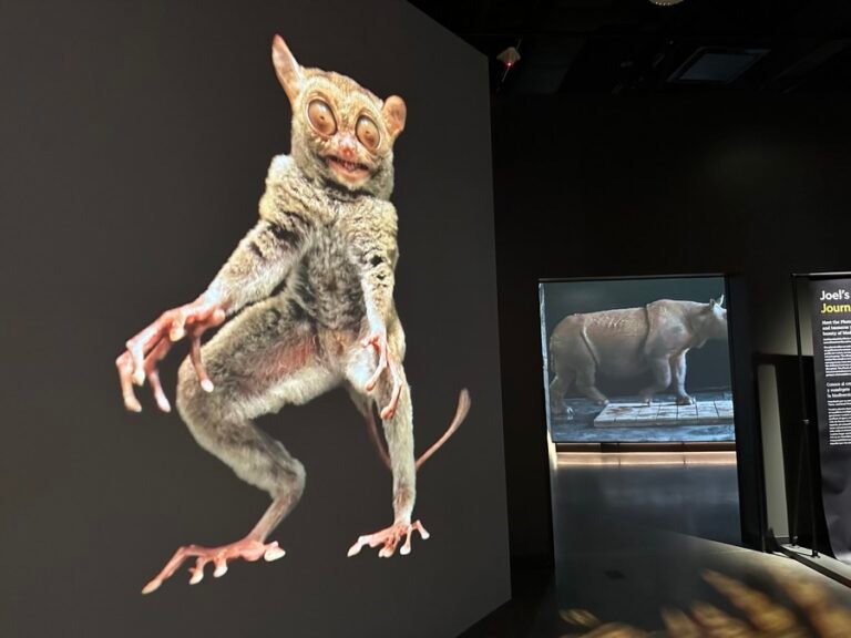 La National Geographic recibe a los exploradores del mundo en un nuevo y moderno museo
