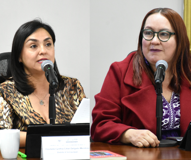 Aprueban convocatoria para consulta popular sobre corridas de toros