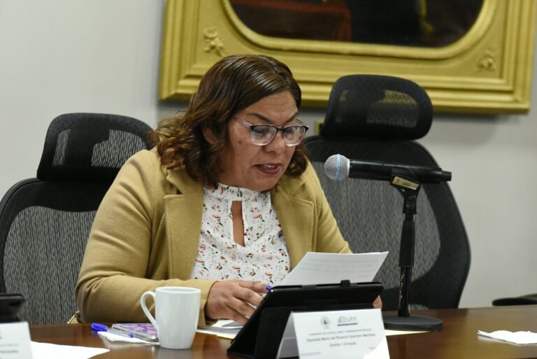 Aprueban declarar el último domingo de mayo como el “Día del Chile Rayado”