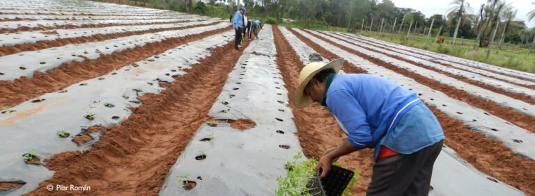 Buscan legisladores mayor inclusión laboral de jóvenes en el sector agropecuario
