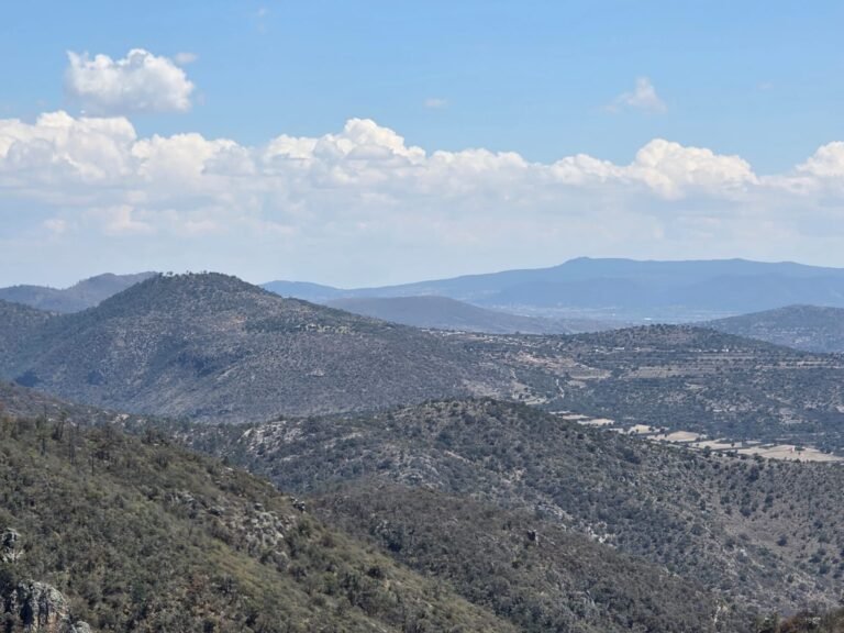 Integran el concepto de “calidad de vida” en la Ley para la Protección al Ambiente 