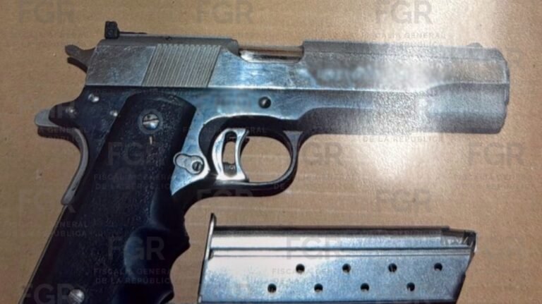 Por portar droga y arma de fuego lo vinculan a proceso