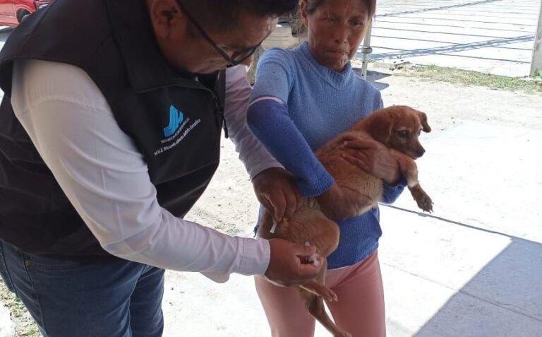 Exhortan a municipios a reforzar vacunación antirrábica de perros y gatos